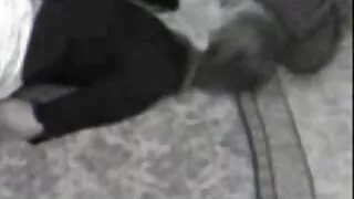 মাই এর, মেয়েদের হস্তমৈথুন বাংলা ভিডিও সেস্ক